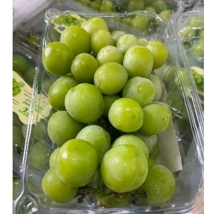 

Anggur Hijau Maniss Non biji 1 pack 500gr | Stobeli Maniss