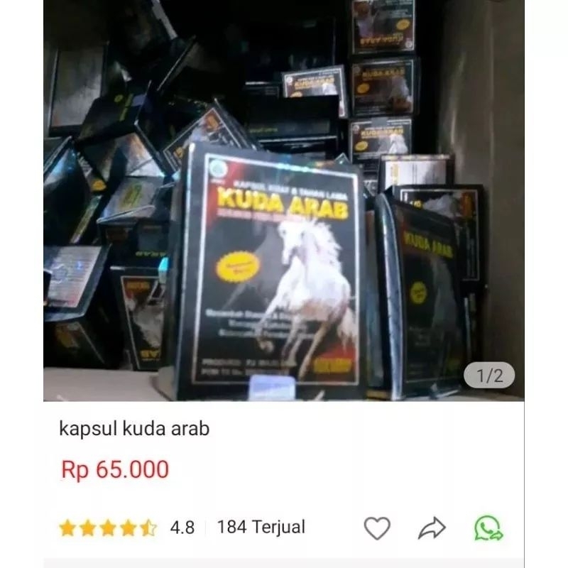 Kapsul Kuda Arab Original suplement for men penambah stamina pria dewasa