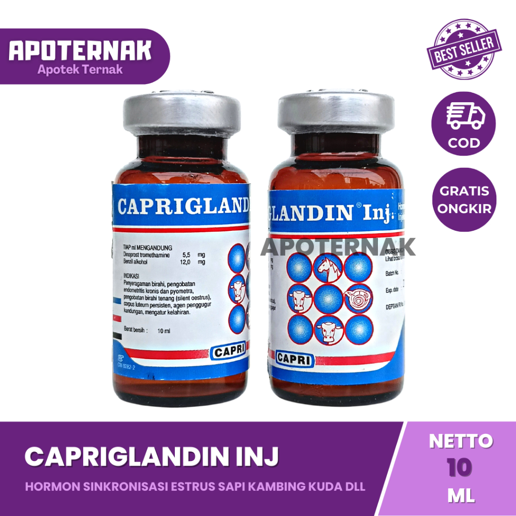 CAPRIGLANDIN Injeksi 10 ml | Hormon Sinkronisasi Estrus Sapi Kambing Domba Kuda Babi