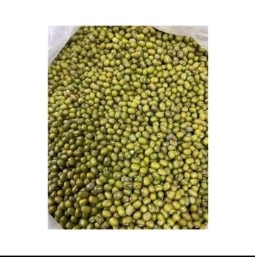 

kacang ijo super import yulex,