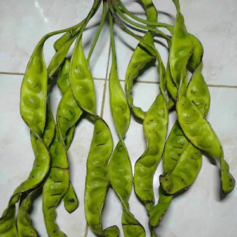 

Sayur Pete Petai segar