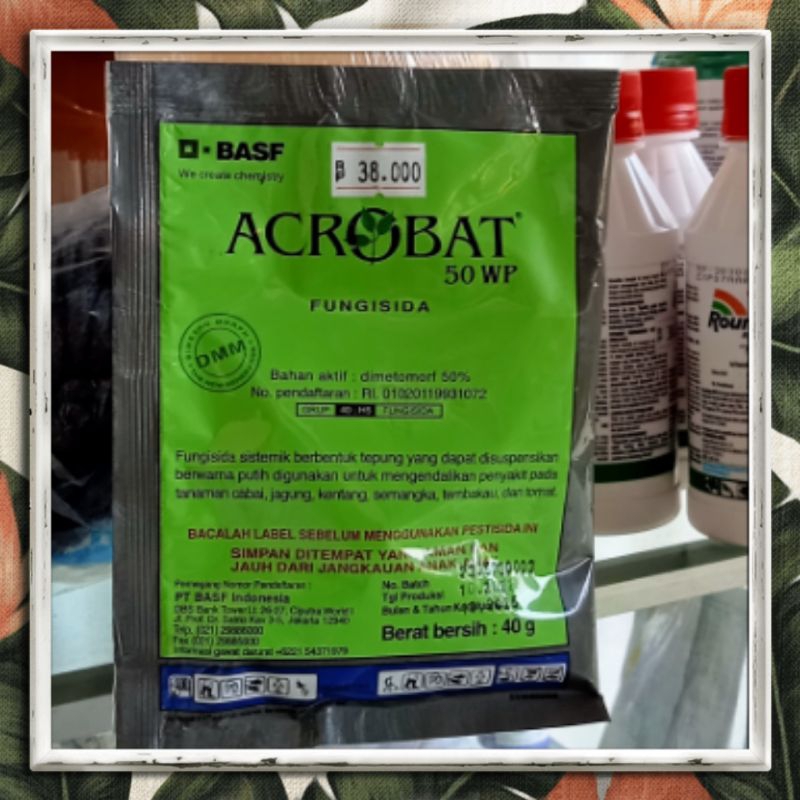 Fungisida Acrobat 50wp