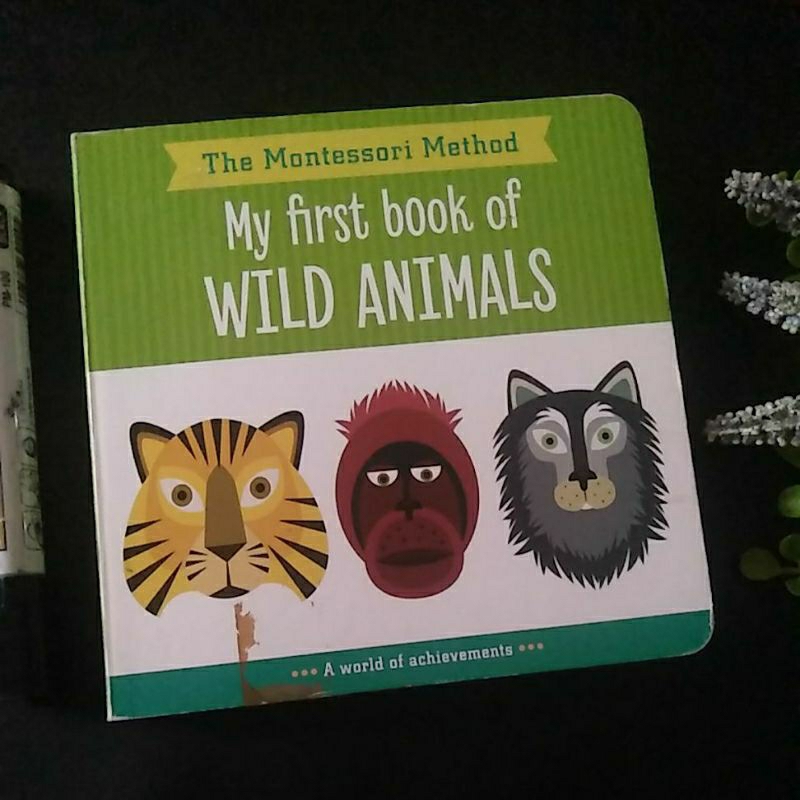 boardbook anak preloved bahasa inggris