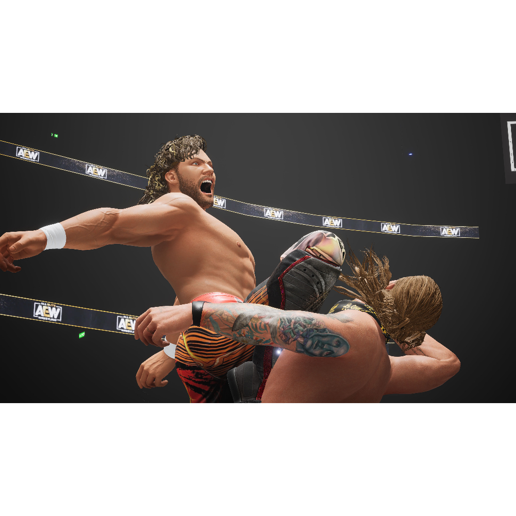 AEW Fight Forever PS4 &amp; PS5 Digital Games