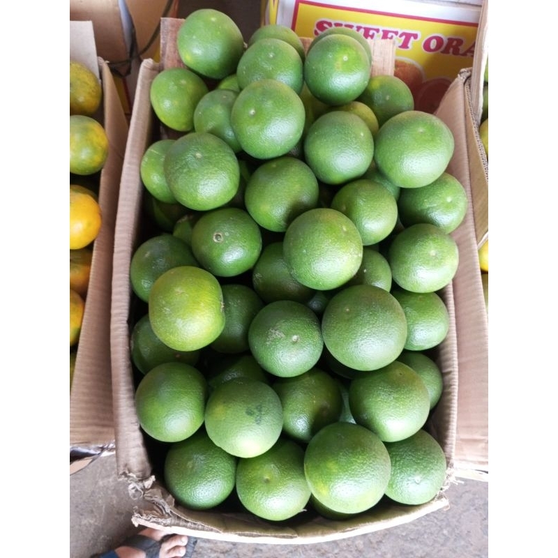 

JERUK BABY PACITAN / JAPFA