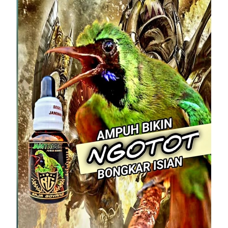 JAMTROCK CUCAK IJO RAJA GOYANG