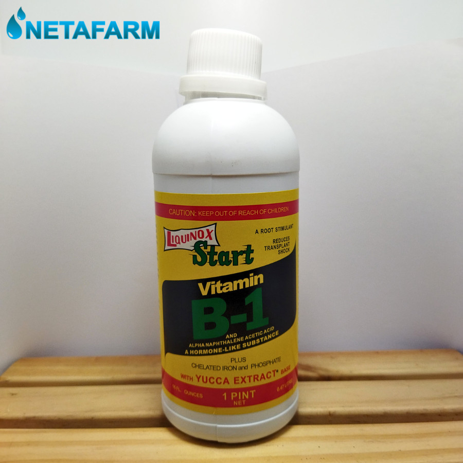 PUPUK VITAMIN B1 - LIQUINOX B1 isi 100ml