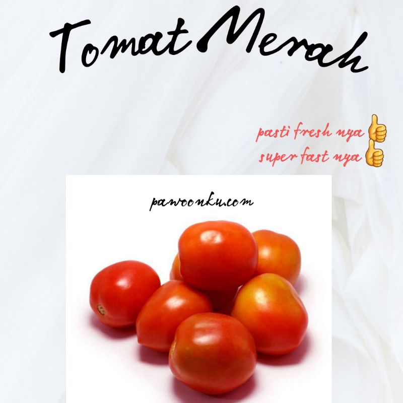 

Tomat Merah || Tomat Merah Segar || Tomat Merah Fresh || Tomat Merah 250gr 500gr 1000gr