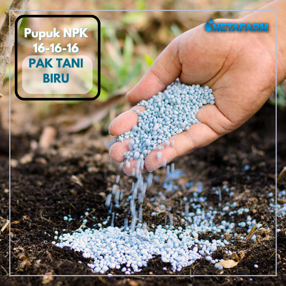 Pupuk NPK PAK TANI Mutiara Biru 16-16-16 Penyubur Tanaman Repack 50gram