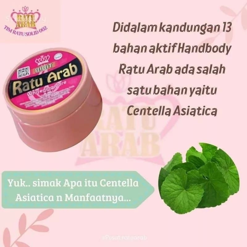 BIBIT RATU ARAB ORIGINAL/LOTION PEMUTIH KULIT AMPUH [ 𝗢𝗥𝗜𝗚𝗜𝗡𝗔𝗟 - 𝗕𝗣𝗢𝗠 ] (Kemasan Baru)