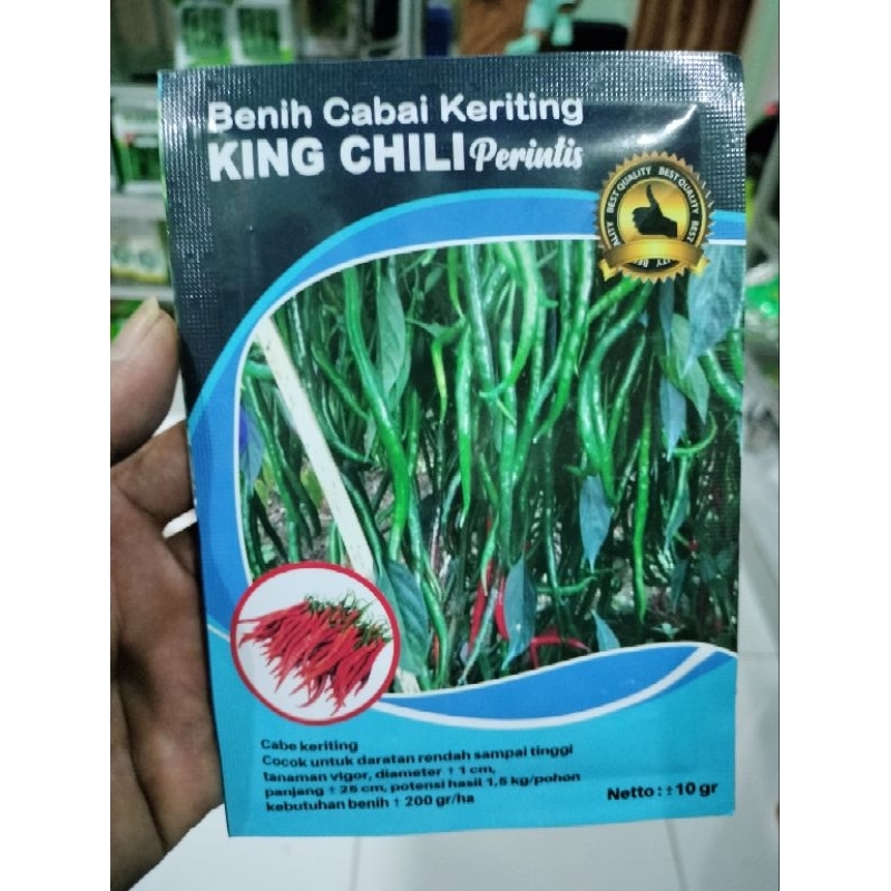 Cabe King Chili Perintis 10gr Tahan Virus Lokal Aceh
