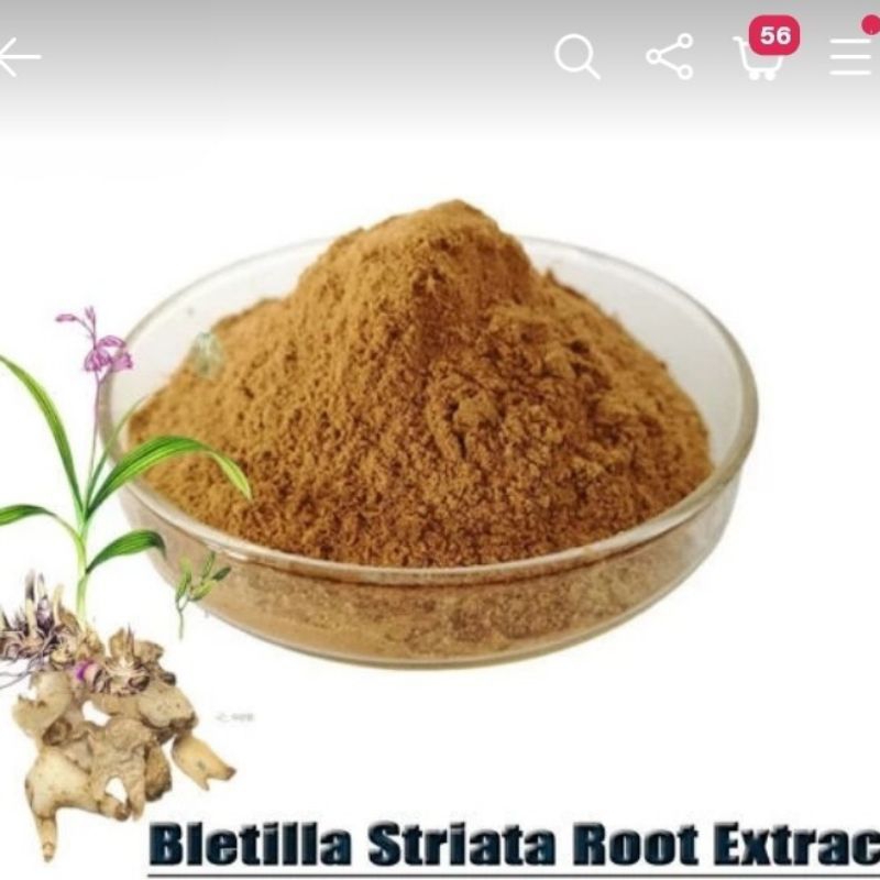 

10 GRAM 白芨粉 BAI JI FEN BLETILLA STRIATA POWDER BUBUK SERBUK