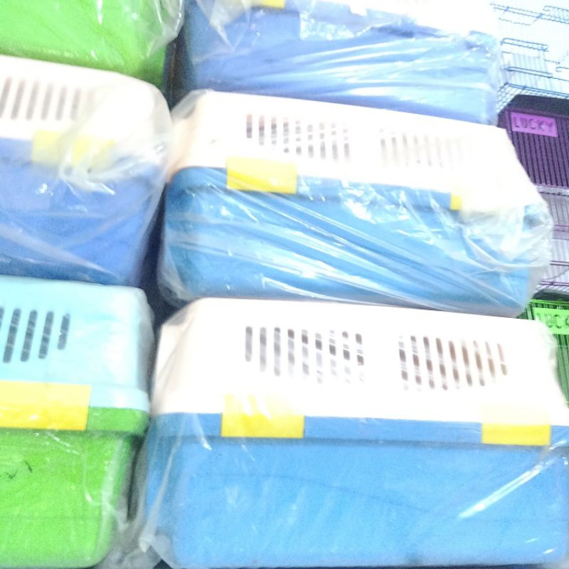 pet kargo kucing uk m