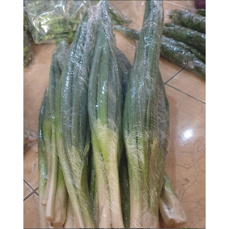 

Daun Bawang Organik