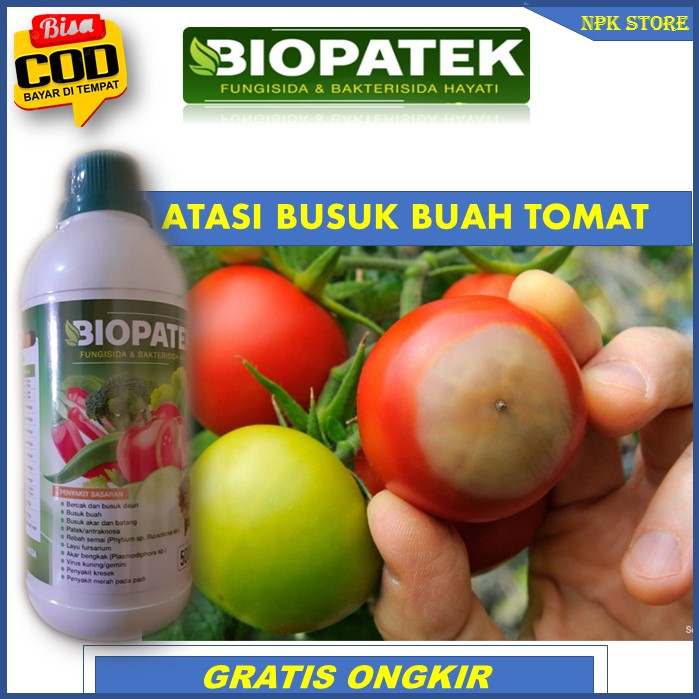 Terbaru BIOPATEK Fungisida & Bakterisida Hayati Pupuk Paling Ampuh Atasi Busuk Tanaman Tomat – Obat 
