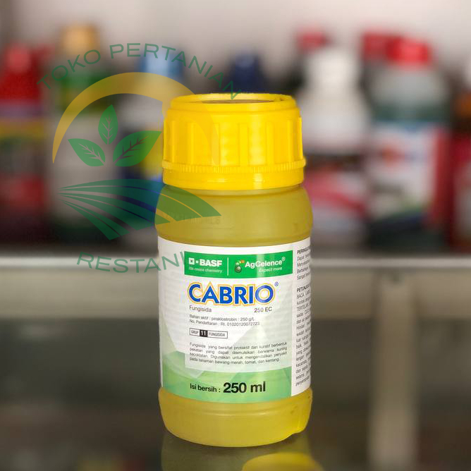 Cabrio 250 EC - 250ml (Fungisida)