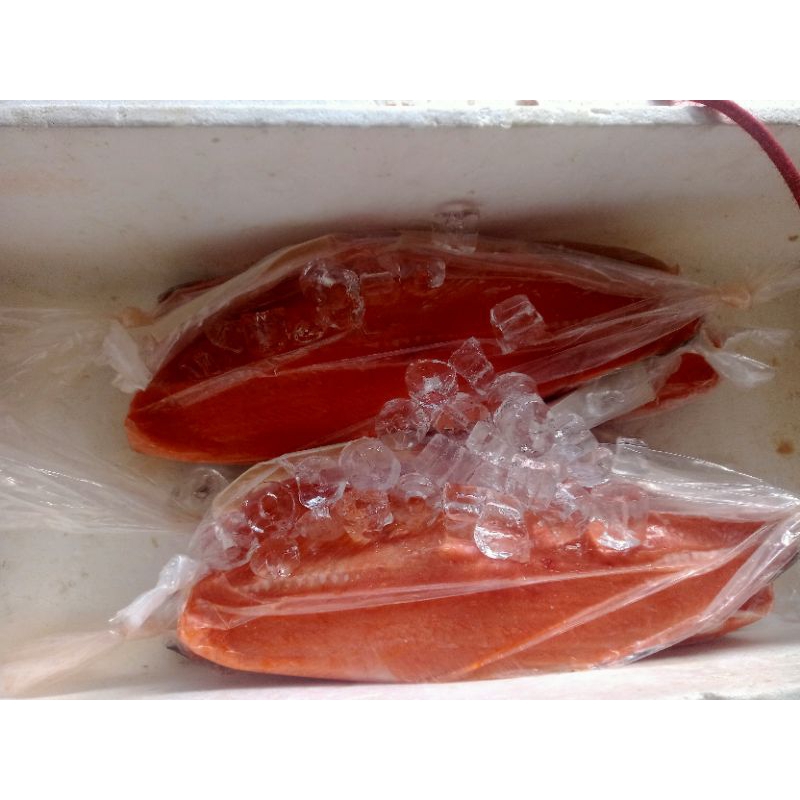 

salmon fillet