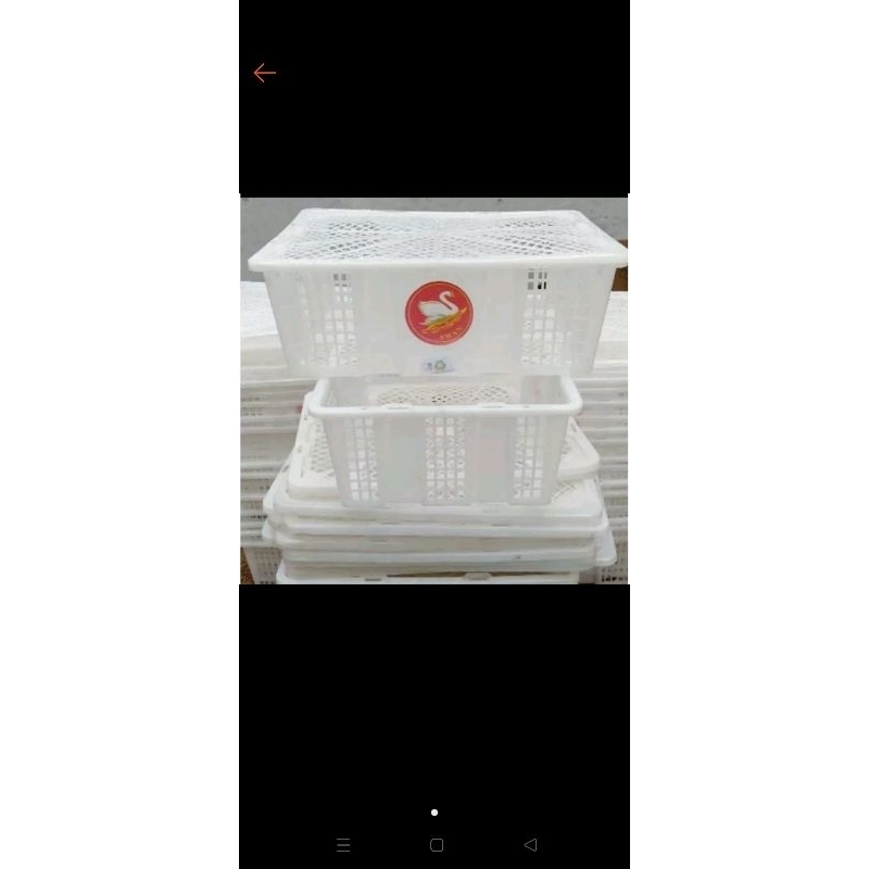 KERANJANG BUAH LENGKENG (BEKAS)