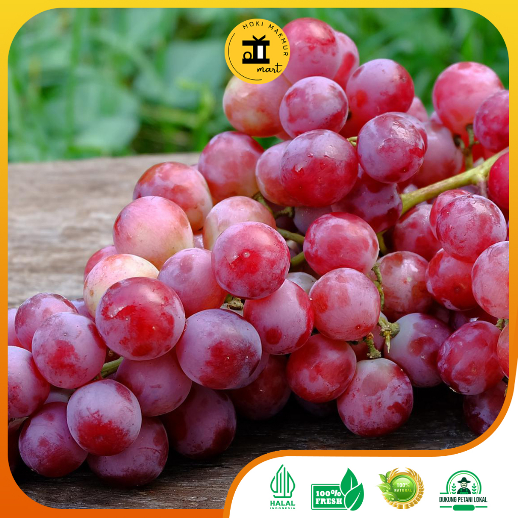 

BUAH ANGGUR PREMIUM 1 KG | ANGGUR MERAH 1 KG | RED GLOBE 1 KG PREMIUM