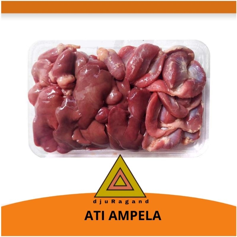 

HATI AMPELA AYAM FRESH PER PCS