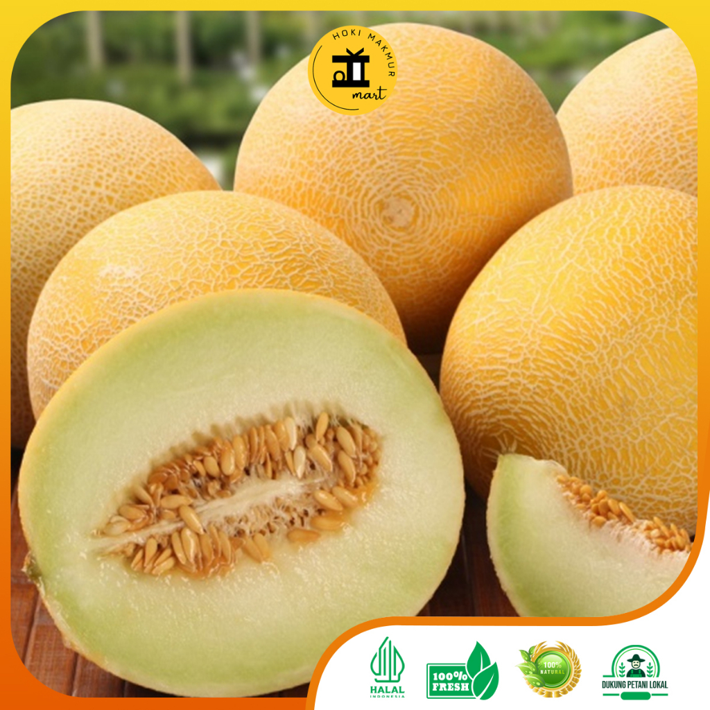 

PROMO MELON MADU MANIS PREMIUM 1 BUAH (1-2KG)