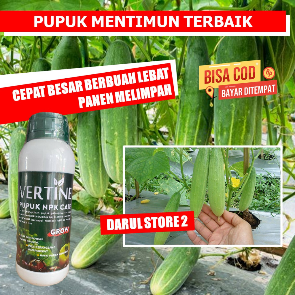 Pupuk Perbanyak Timun VERTINE NPK CAIR Pupuk Timun obat semprot anti virus kriting pupuk organik bul