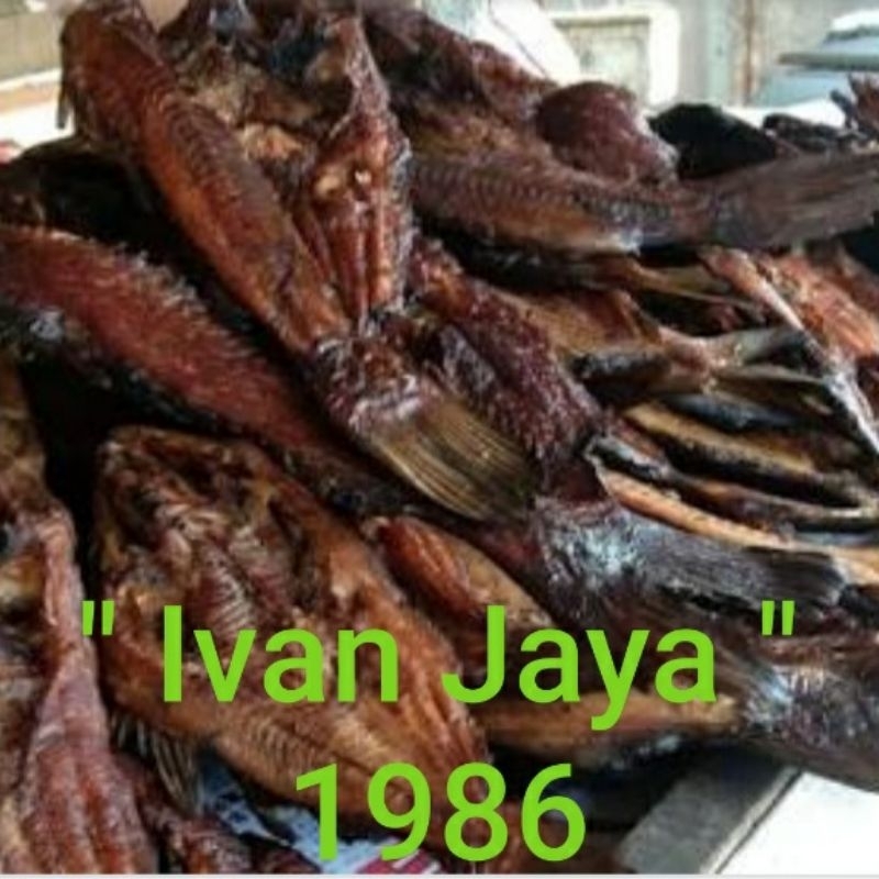 

ikan saleh salai asap sidempuan 500gram