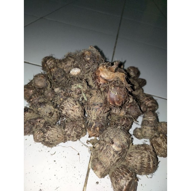 Ubi Talas 1kg Asli Panen Petani