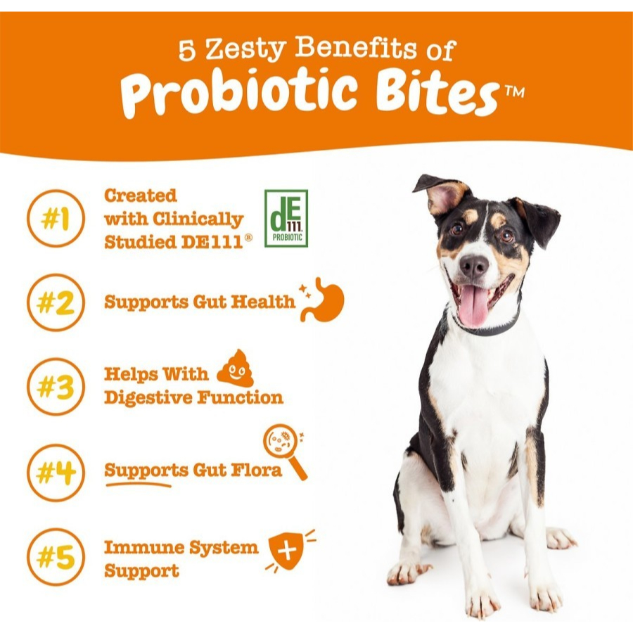 Zesty Paws Probiotic for Dogs-Digestive Gut Bowel Health Dog Probiotic