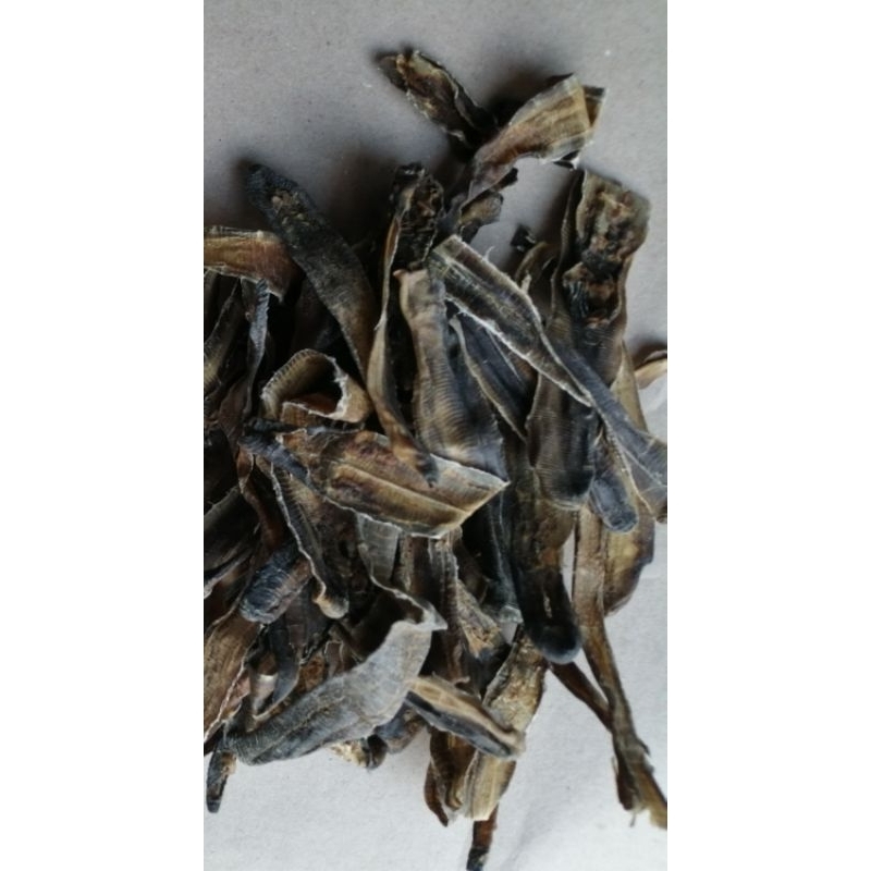 cacing kering/DILONG KERING - obat tipus/tipes/deman