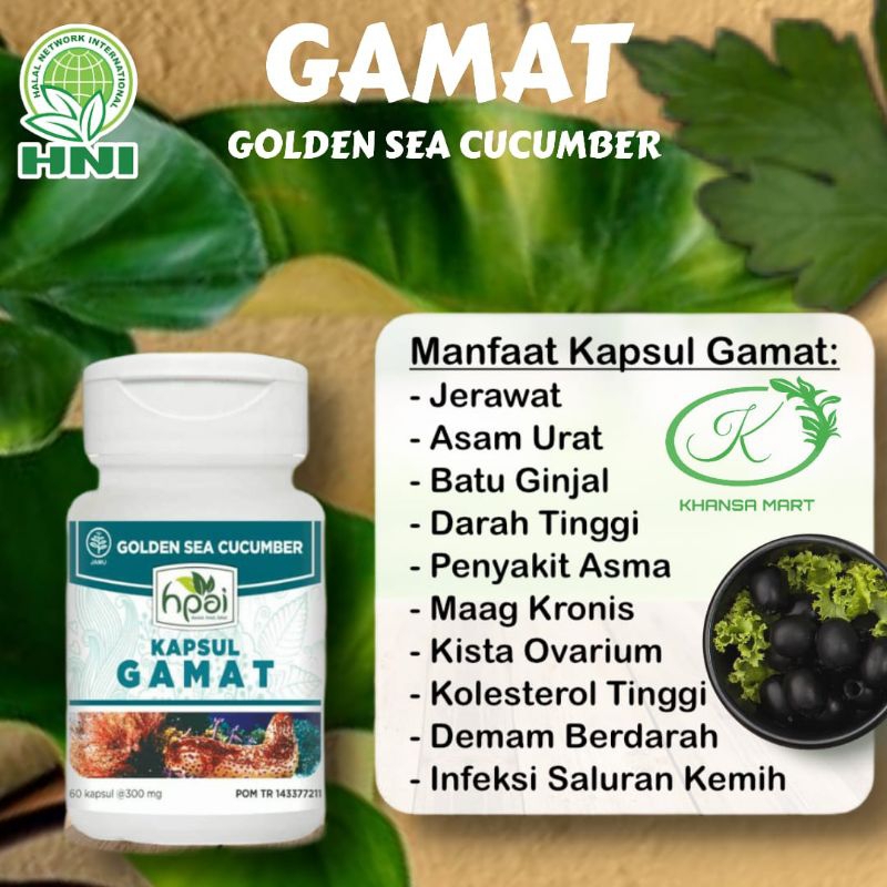 GAMAT HNI