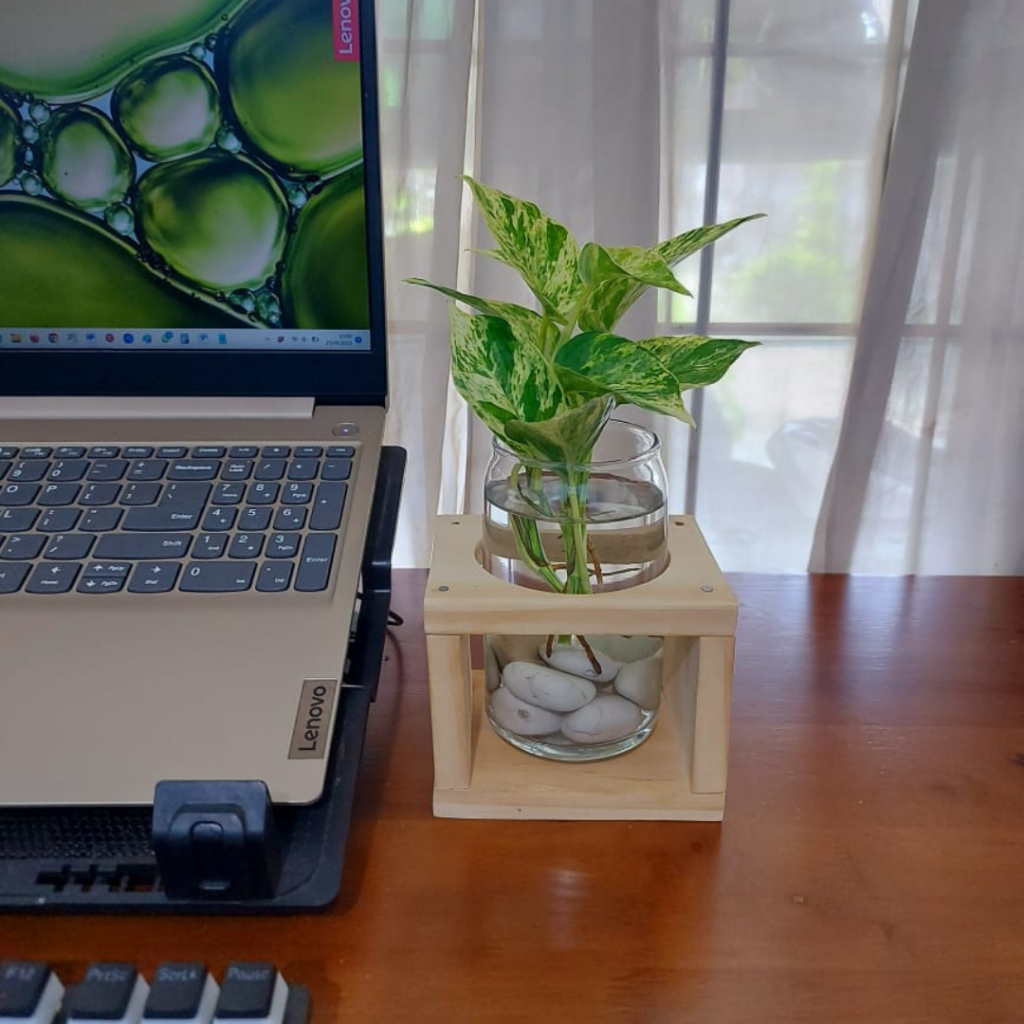 Vas Kaca Tabung Mini - Pot Kaca Tanaman Air Hidroponik Aesthetic - Batu Hias