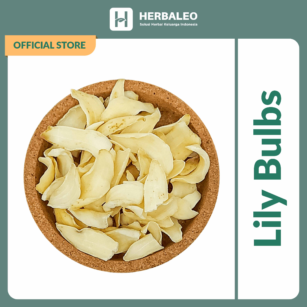 

Herbaleo Lily Bulbs 5g Lily Bulbs Bai He Membantu Menyehatkan Paru-paru dan Meredakan Batuk