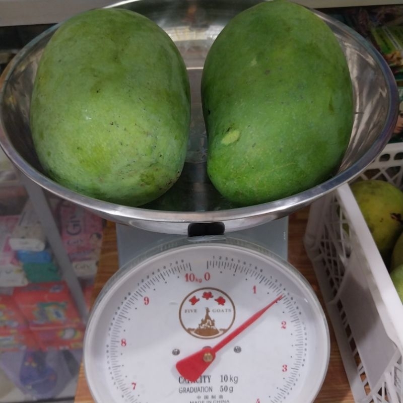 

Mangga Harum manis super jumbo perkilo 25rb