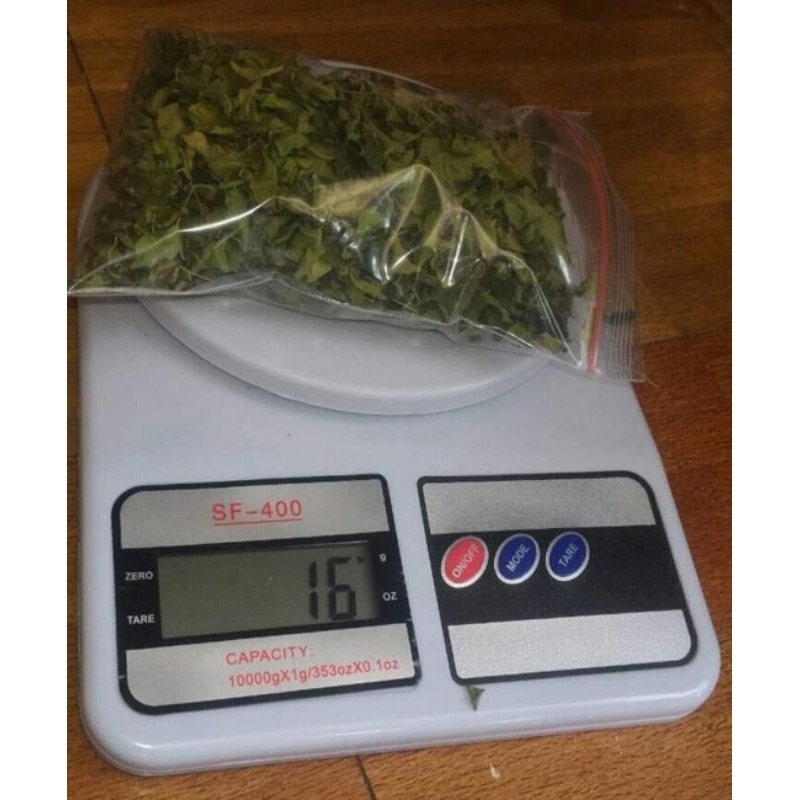 

teh daun kelor kering