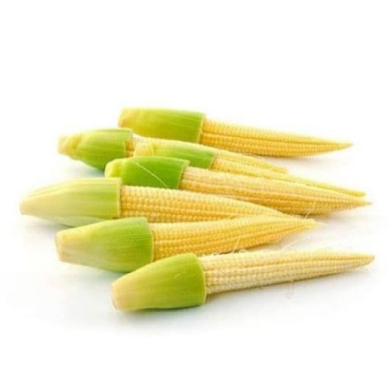 

Baby Corn/ Jagung mini 100gr