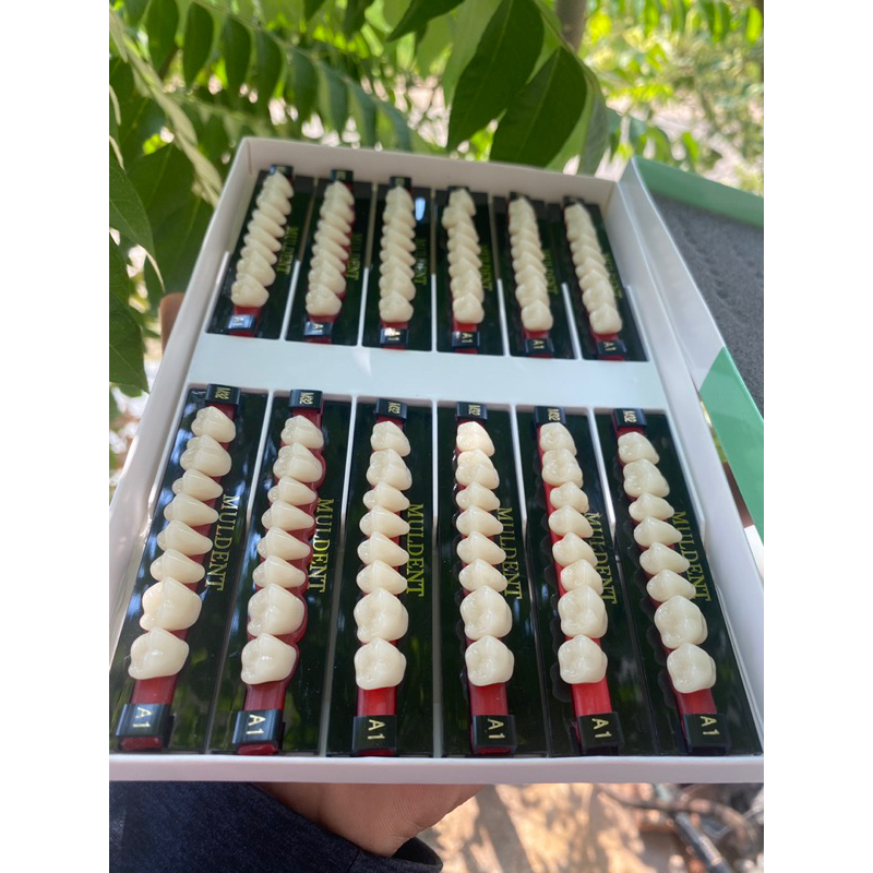 GIGI MULDENT GERAHAM 1 BOX ISI 12 PAPAN