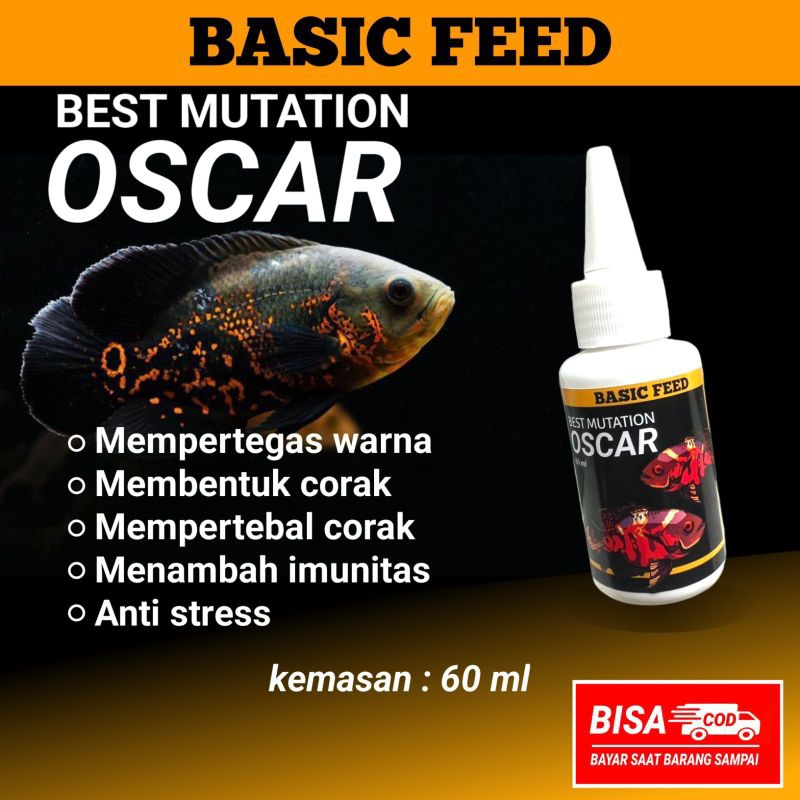 BASIC FEED Best mutation oscar | cairan mutasi progres ikan red oscar | ikan oscar albino | vitamin 