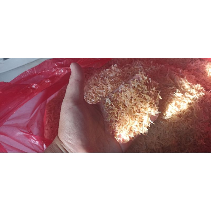

udang papai bersih