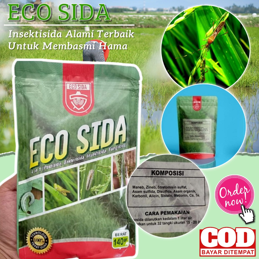 Eco Sida Pembasmi Hama Tanaman 4in1