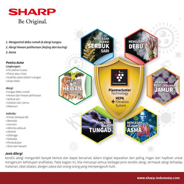 Sharp AH-AP5SSY / AHAP5SSY AC Split 1/2 PK Plasmacluster Made In Thailand Standard