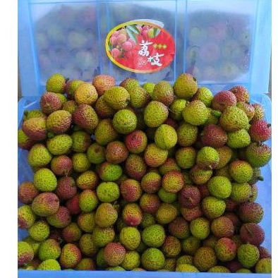 

leci madu