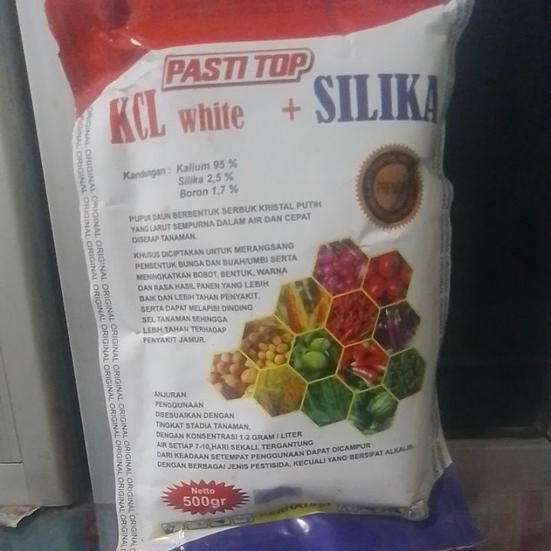 KCL White Pasti Top