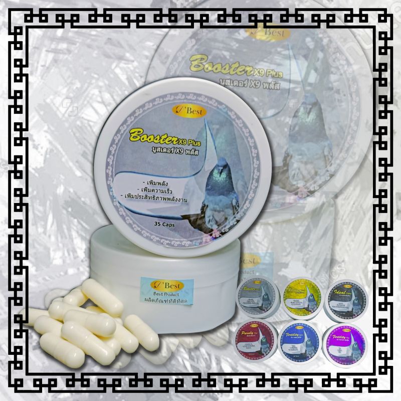 BEST BOOSTER X9 PLUS MENAMBAH STAMINA TENAGA PADA MERPATI TETAP FIT