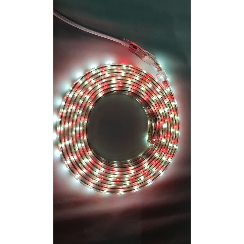 Lampu LED STRIP SELANG / Lampu LED SLANG Merah Putih / Lampu Strip Agustusan / LED Merah Putih + Ada