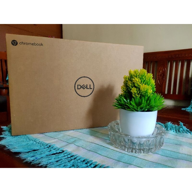 Dell 3100 Chromebook