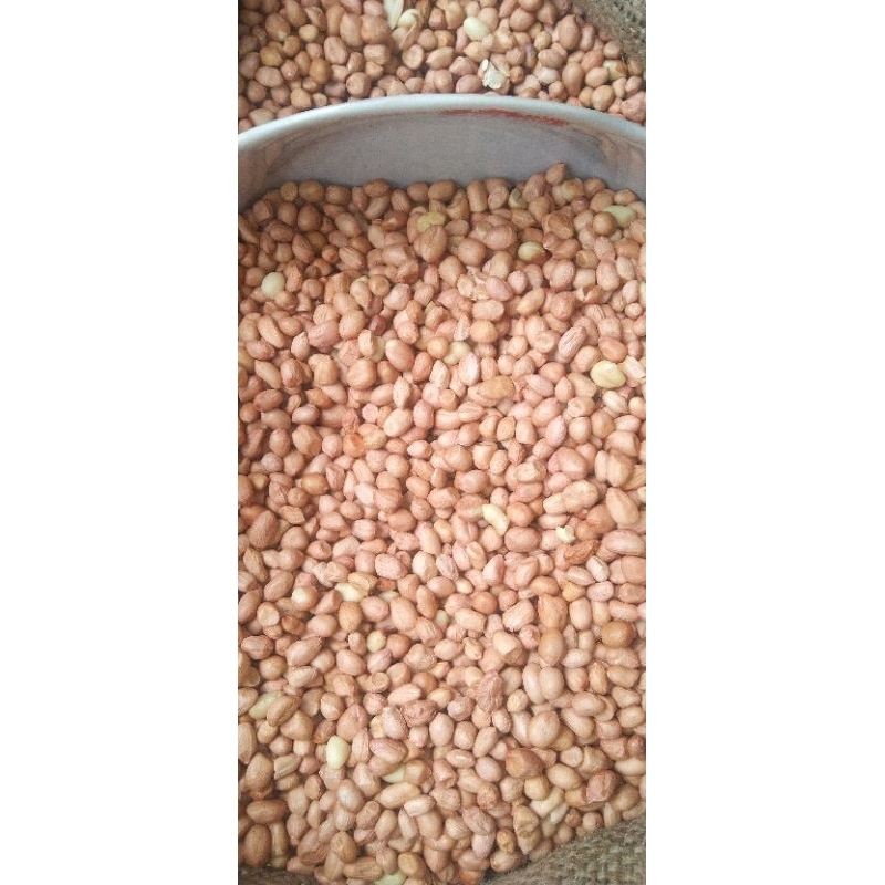 

Kacang tanah 500gr