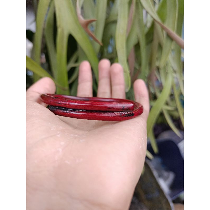 gelang akar Bahar tali arus merah