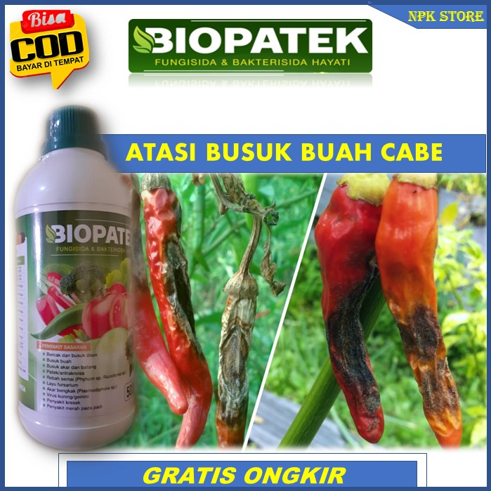 Terbaru BIOPATEK Fungisida & Bakterisida Hayati Pupuk Paling Ampuh Atasi Busuk Tanaman Cabai – Obat 