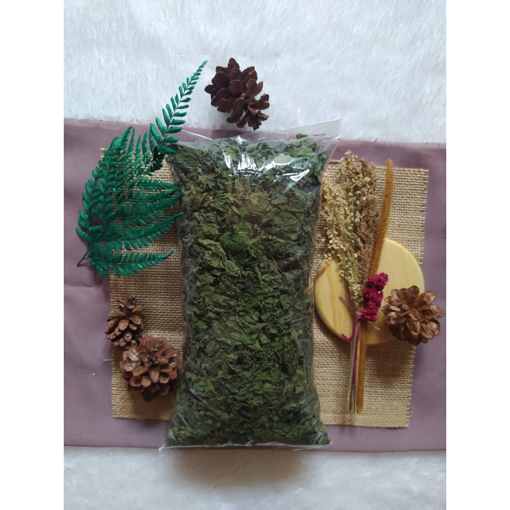 

daun balakacida kering per 100 gram